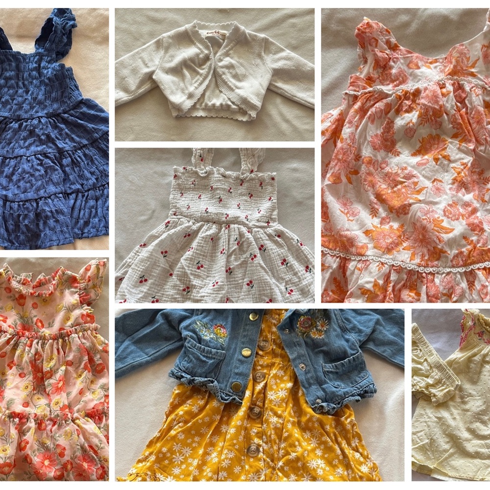 Spring Baby Dress Bundle 12M
